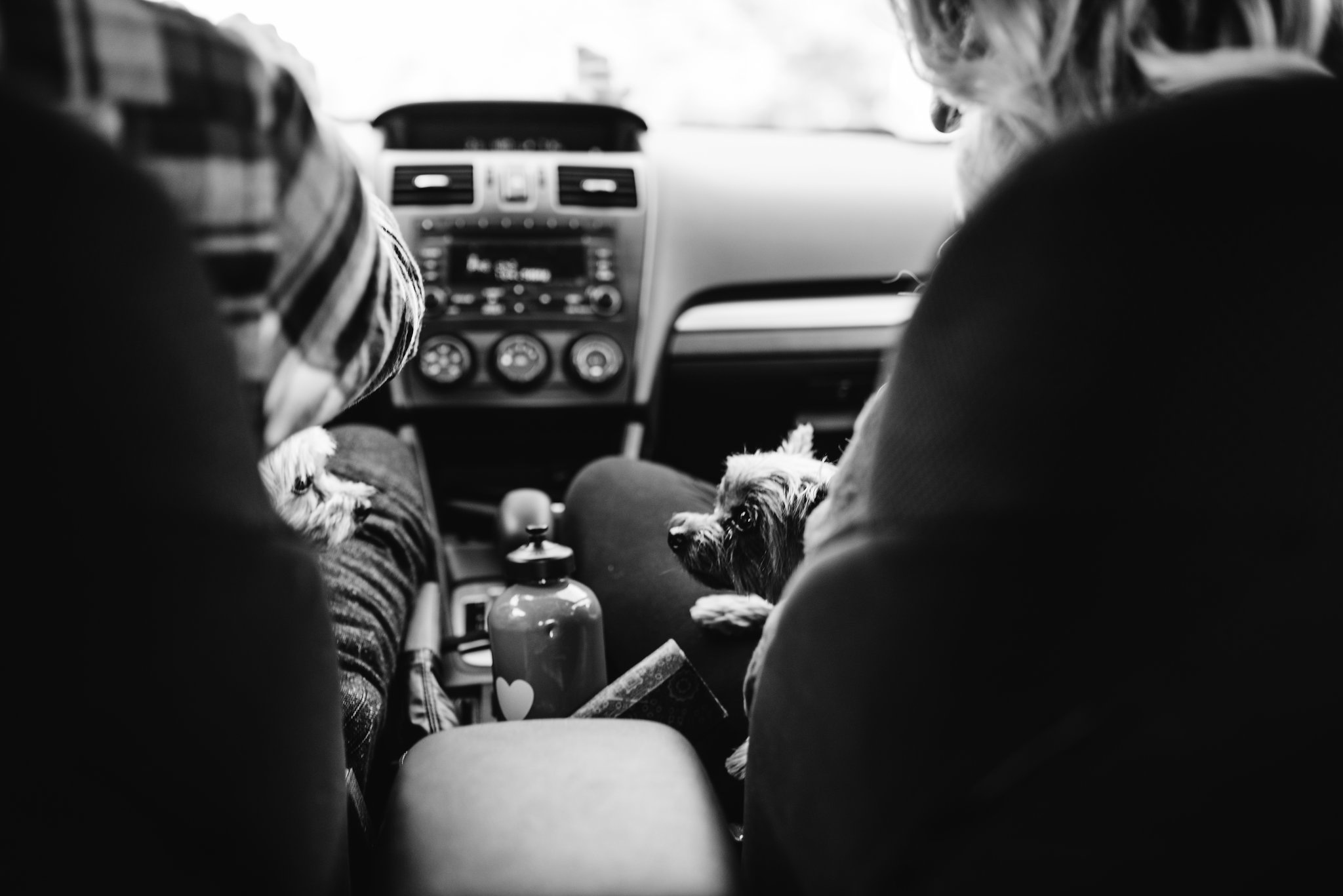 Muskoka Cottage Engagement Session | Olive Photography Toronto