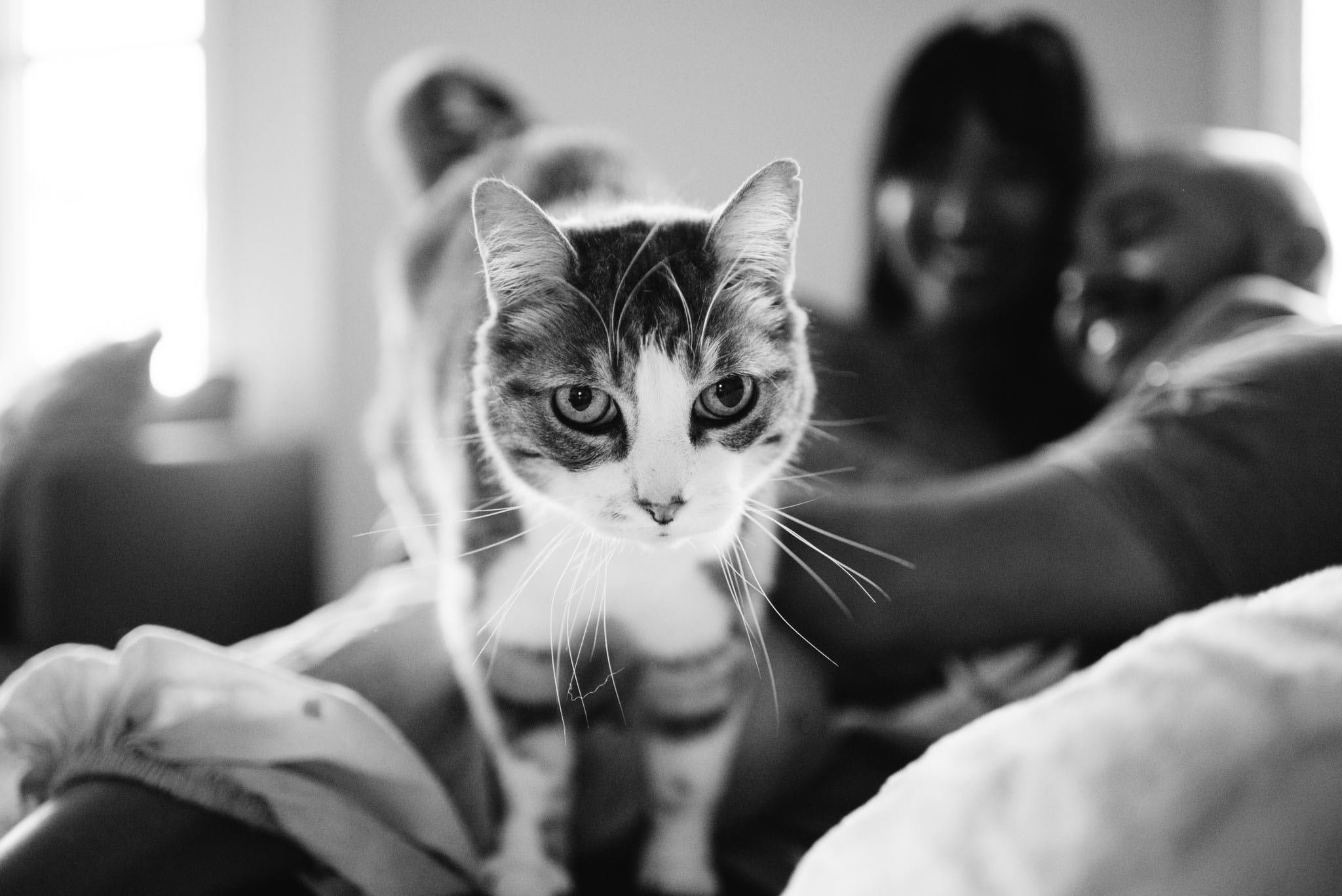 In-Home Engagement Session | Olive Photography Toronto