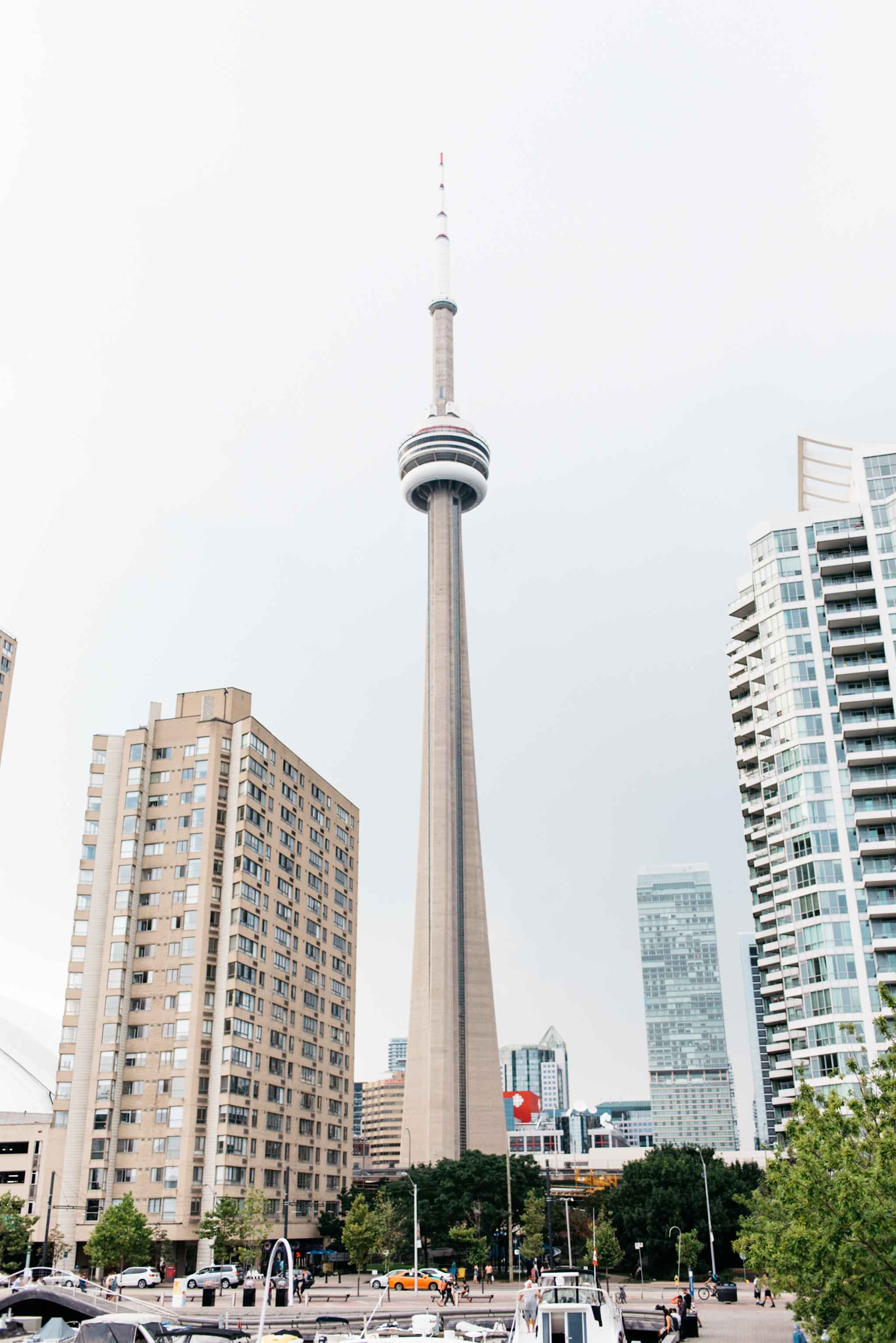 Toronto Harbourfront Engagement Photos | Olive Photography