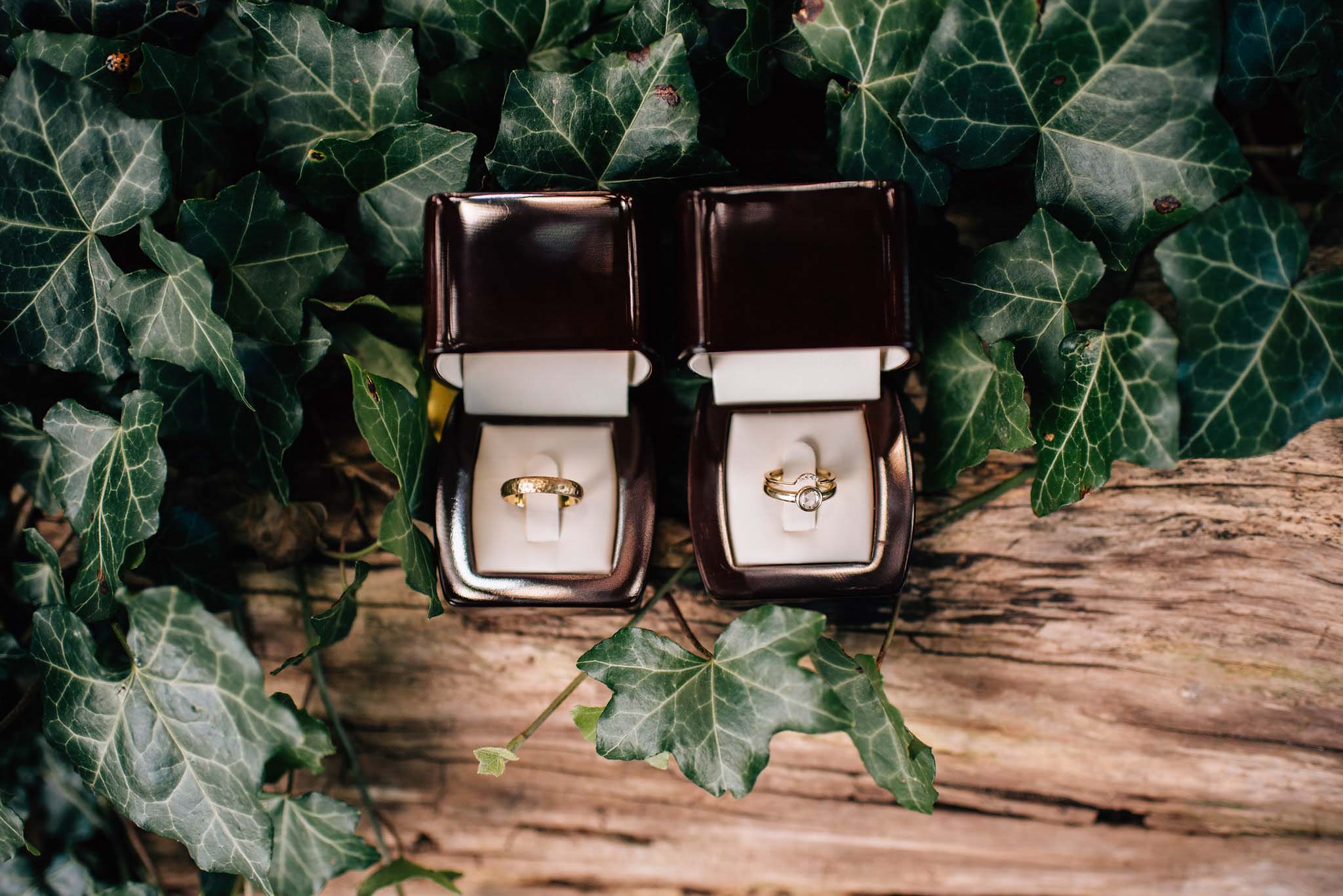 Gold wedding bands | Olive Photography Toronto