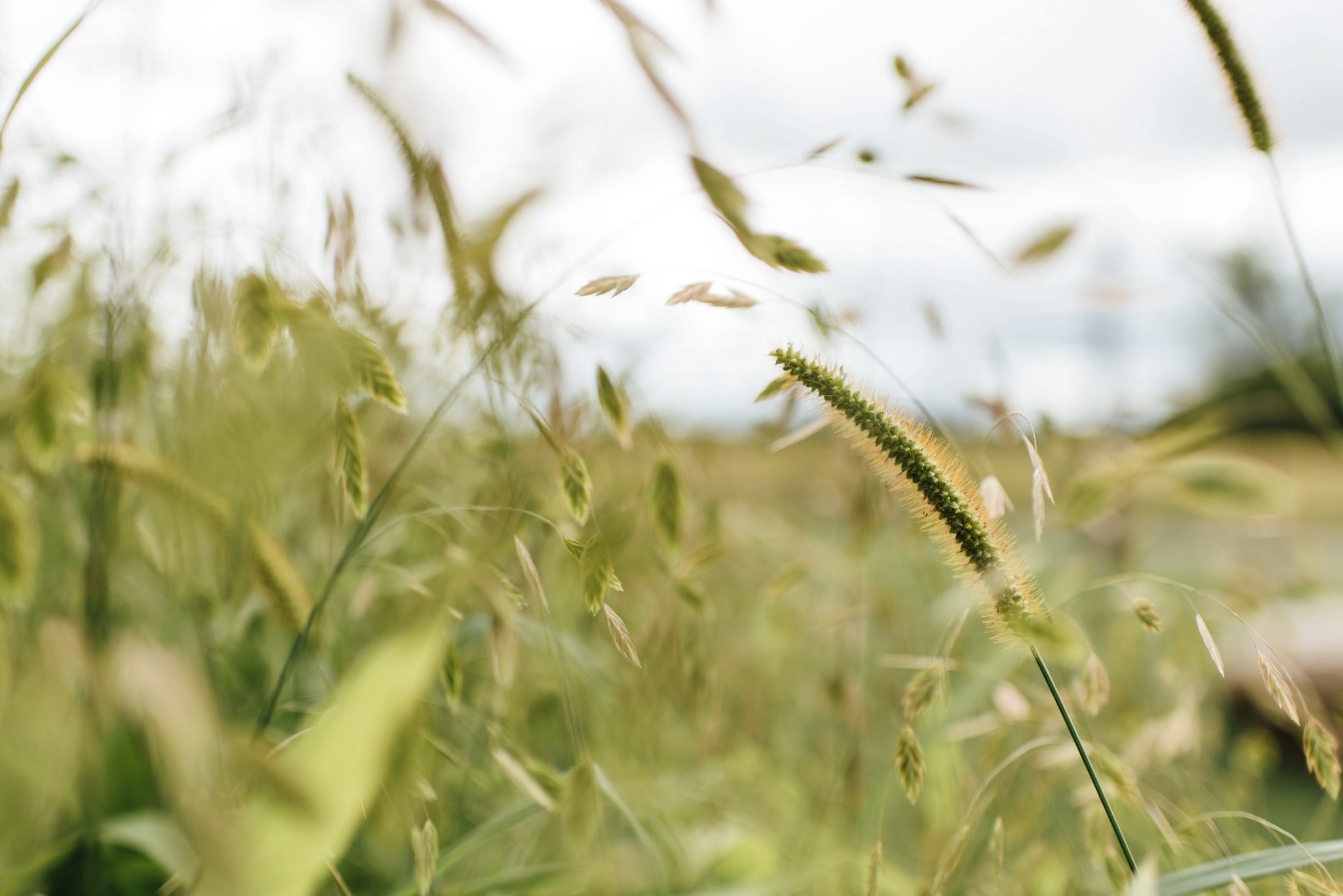 Strathmere Wedding | Olive Photography