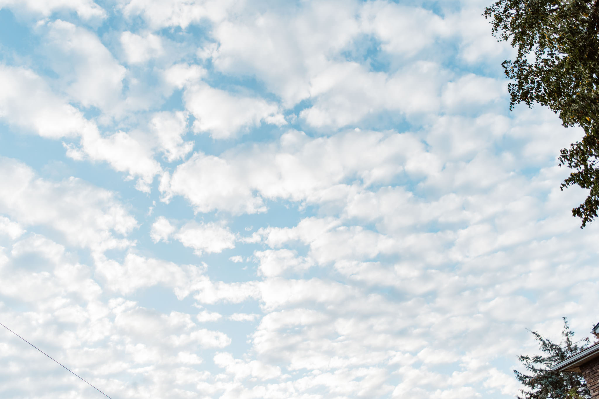 Riverdale Park Engagement Photos | Olive Photography Toronto