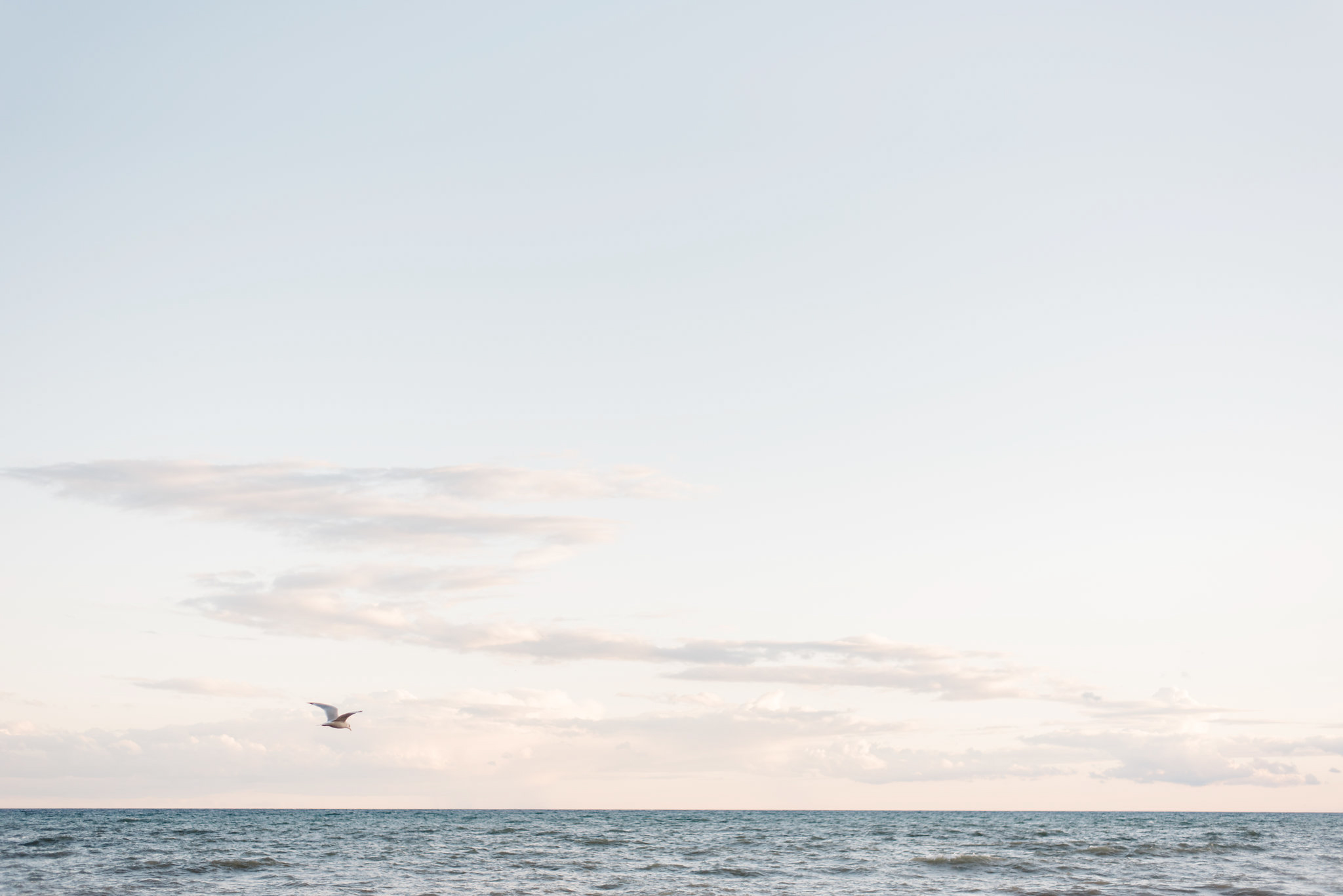 Toronto Beaches Engagement Photos | Olive Photography