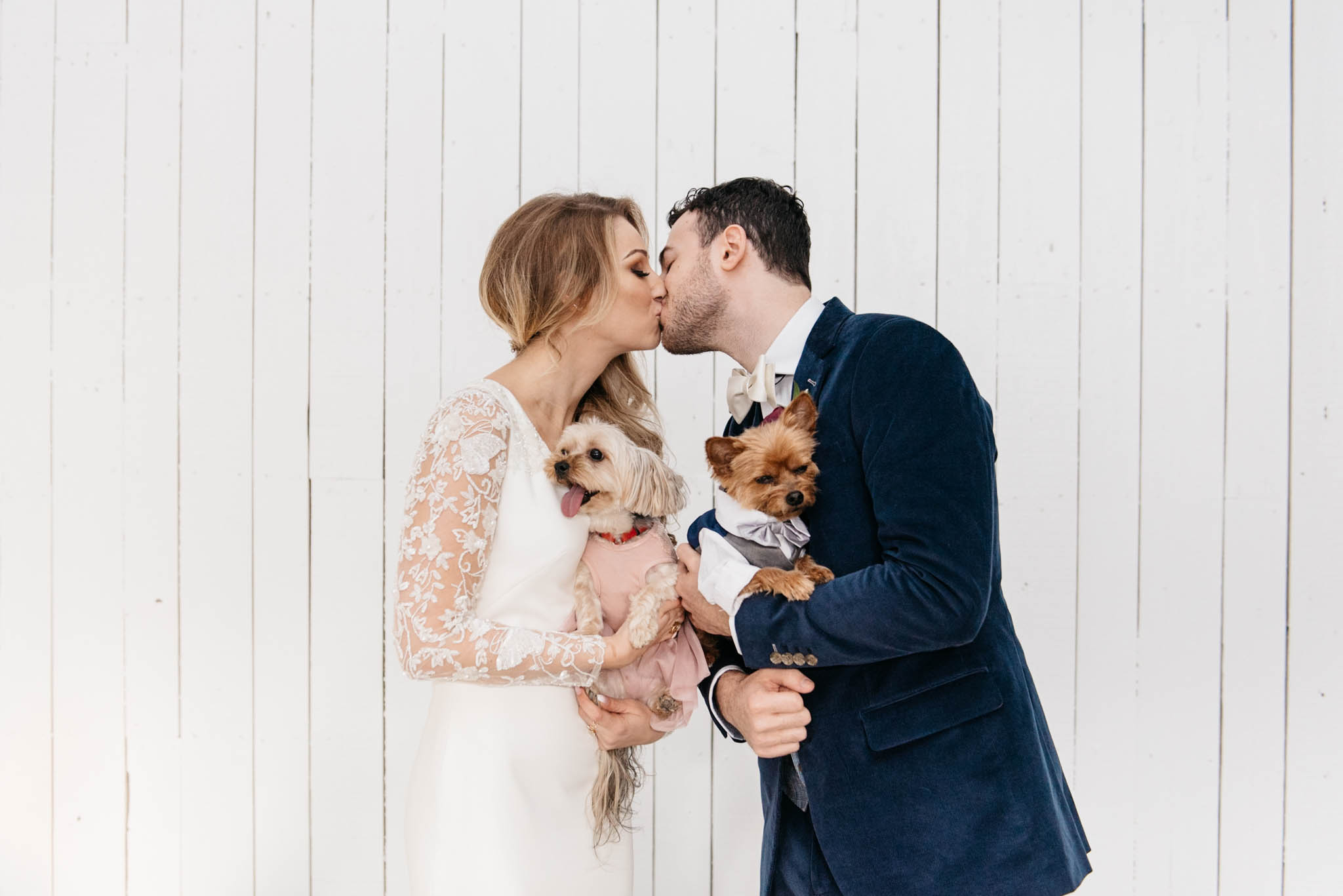 Wedding Photos with Dogs | Olive Photography Toronto