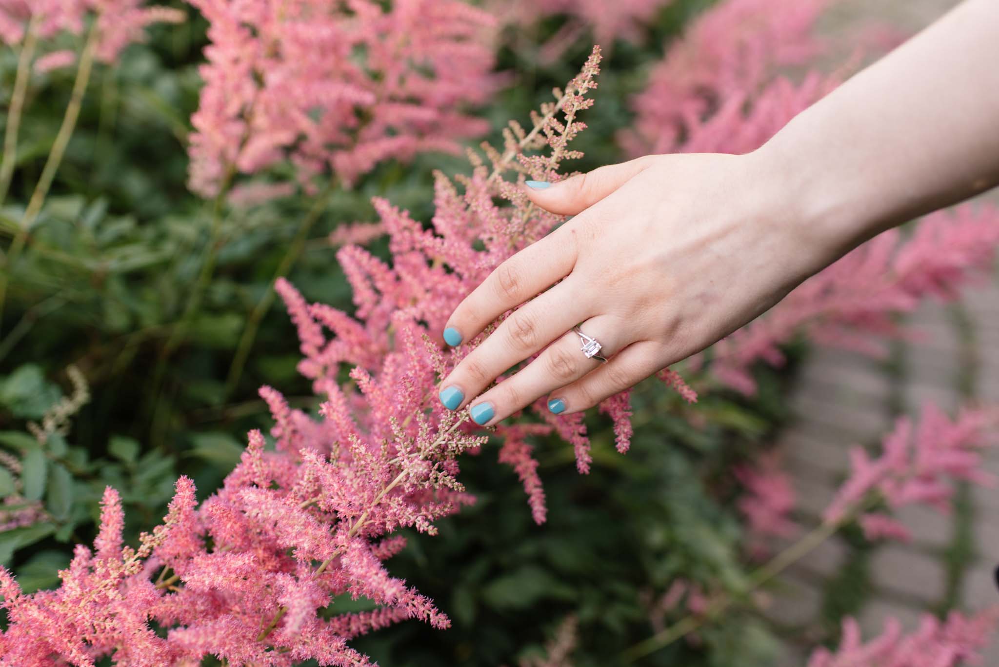 Toronto Proposal Photographer | Olive Photography Toronto