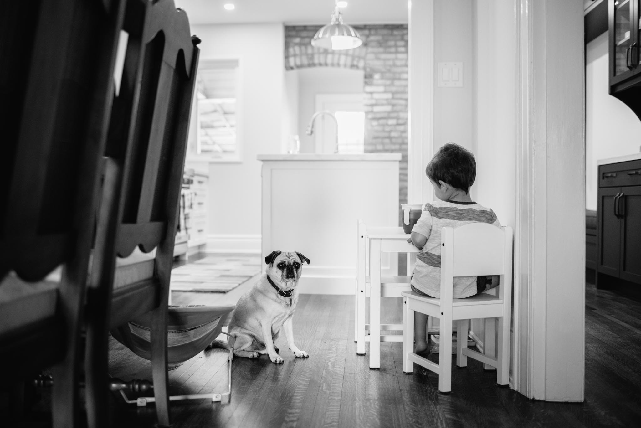 Toronto family photographer - Olive Photography 