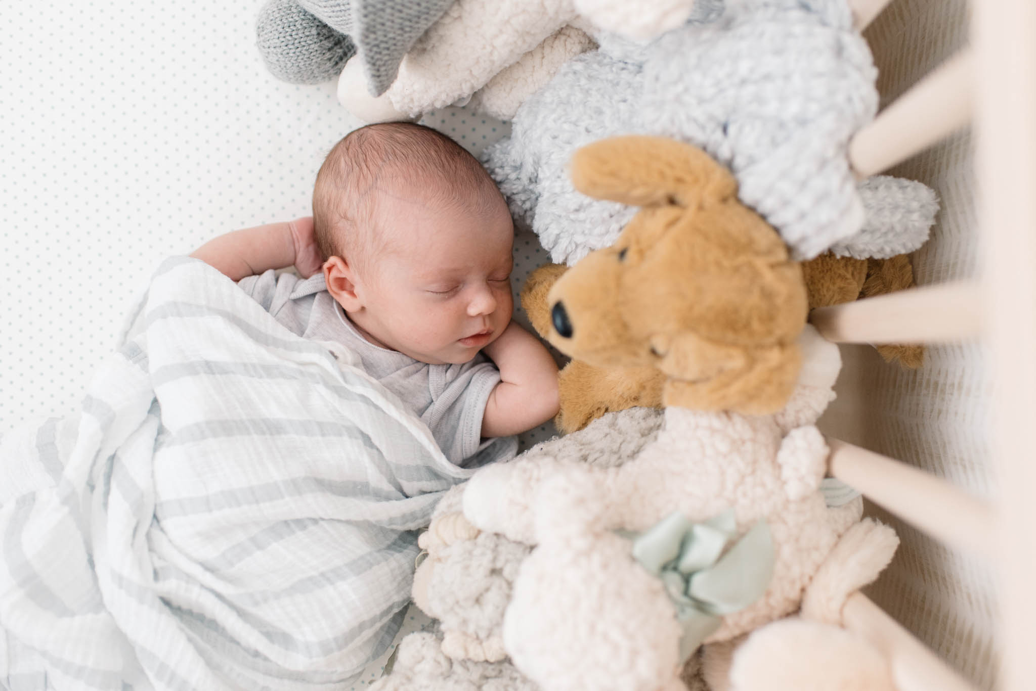 Toronto Newborn Photographer - Olive Photography