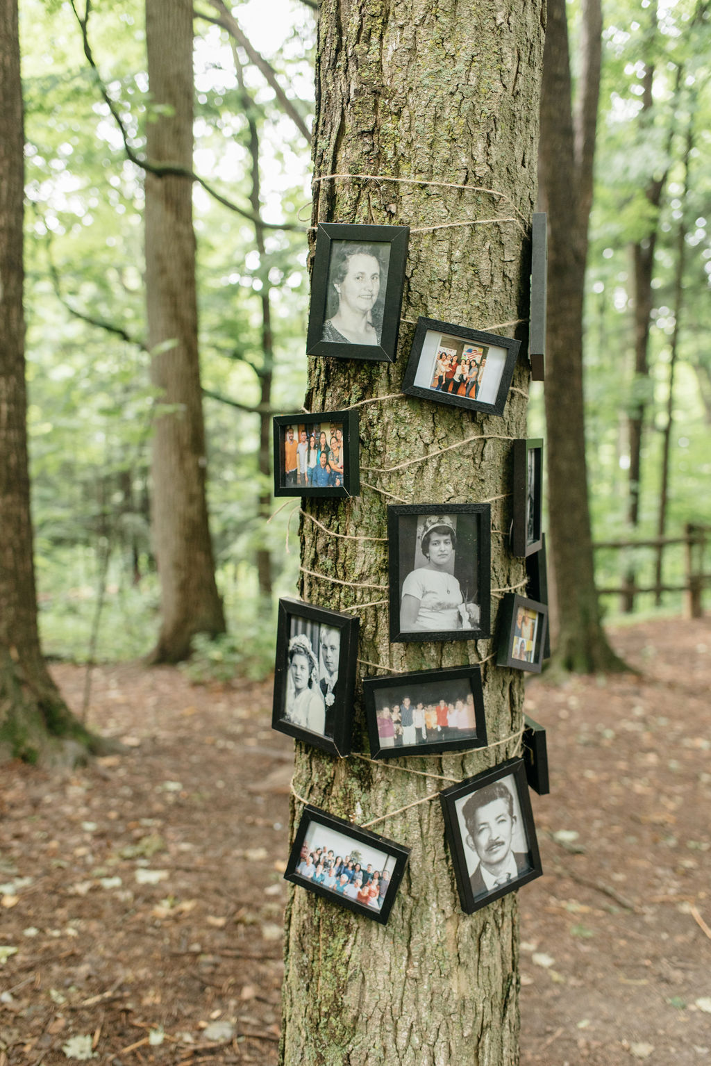 Kortright Centre For Conservation Wedding | Olive Photography Toronto