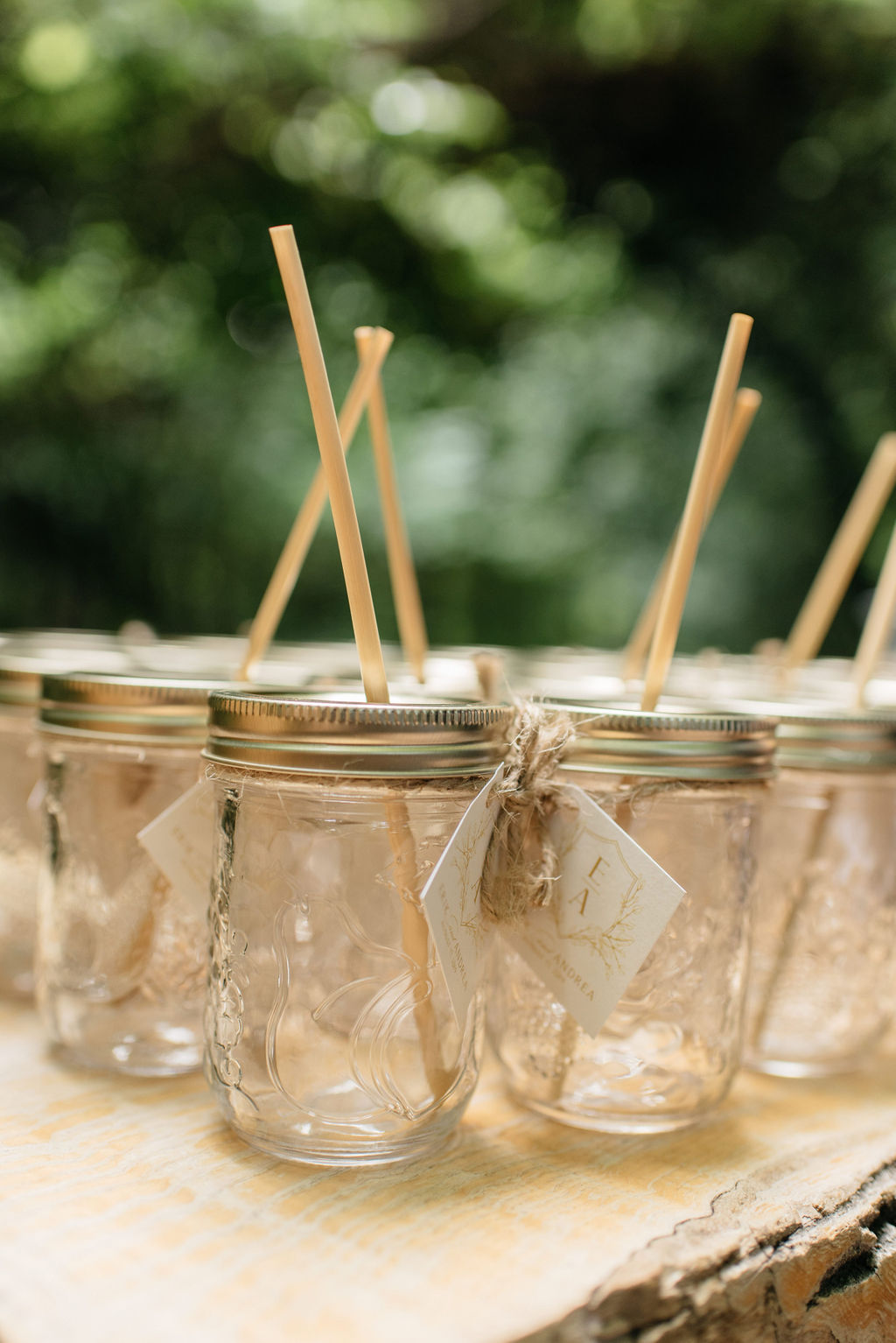 Kortright Centre For Conservation Wedding | Olive Photography Toronto