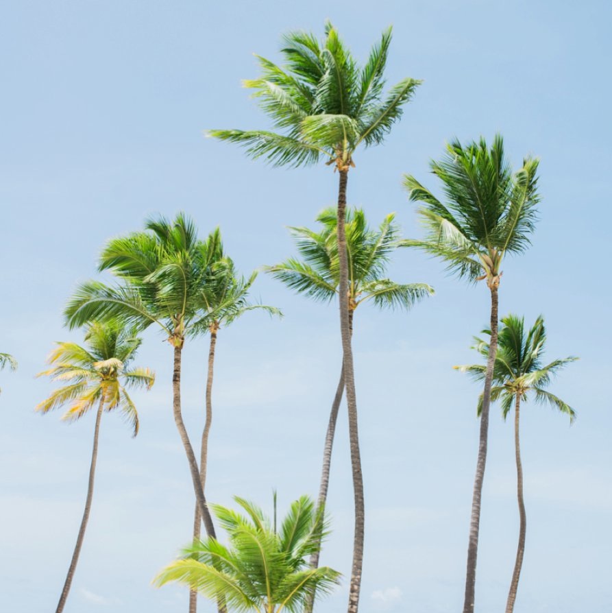 Punta Cana destination wedding - Olive Photography