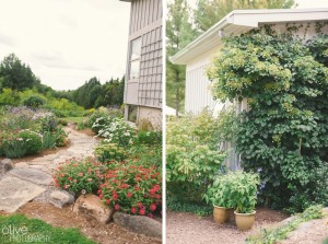 Ontario cottage wedding - Olive Photography