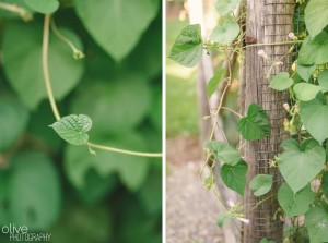 Ontario cottage wedding - Olive Photography