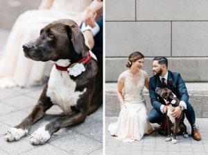 dog at wedding - Olive Photography