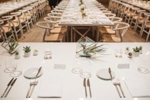 Succulent wedding decor | Olive Photography