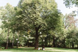 Backyard wedding