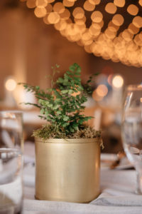 Potted plants centrepieces | Olive Photography Toronto