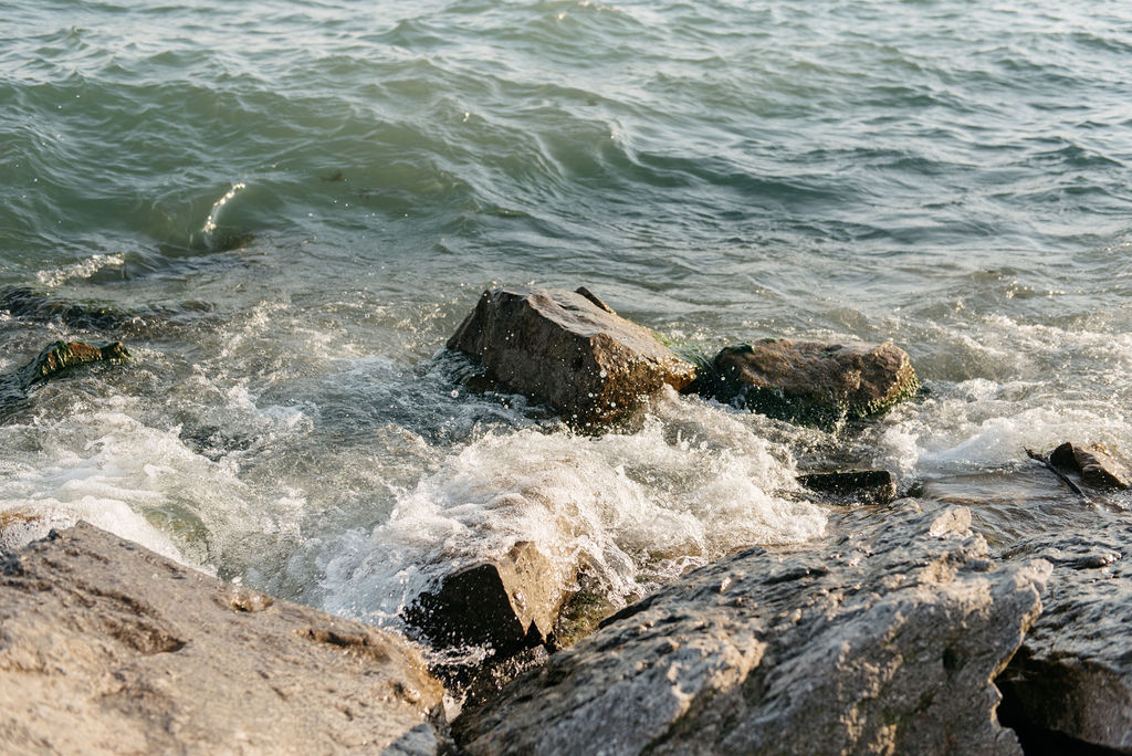 Toronto Waterfront Proposal at RC Harris Water Treatment Plant | Olive Photography